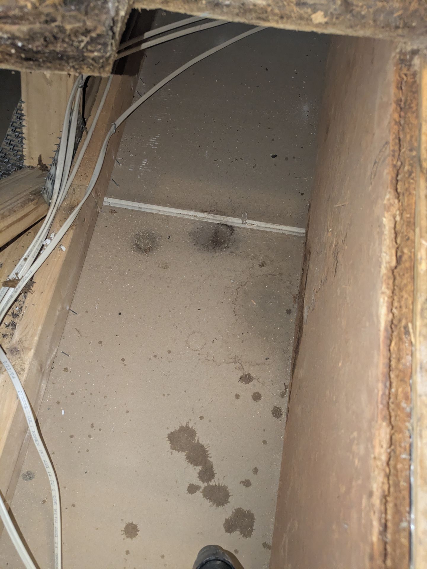 Inspecting ceiling joists for water damage in an Athens remodel